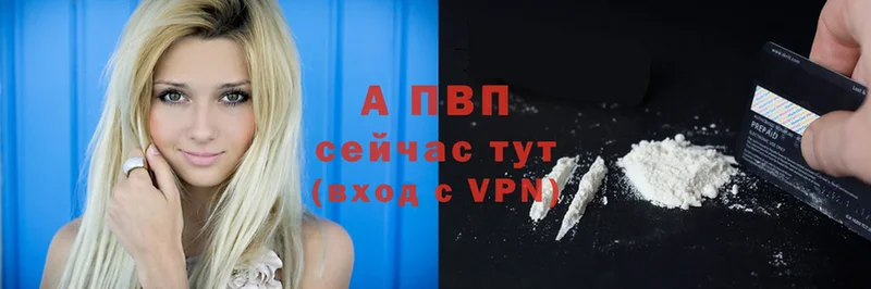 ОМГ ОМГ вход  Кукмор  Alfa_PVP крисы CK 