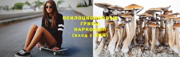 гидропоника Няндома