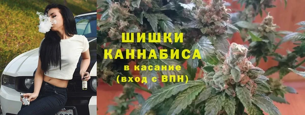 гидропоника Няндома